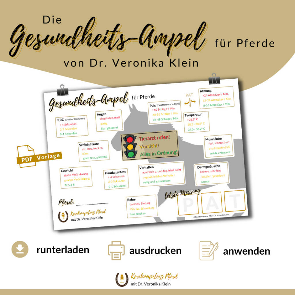 Gesundheitsampel für Pferde