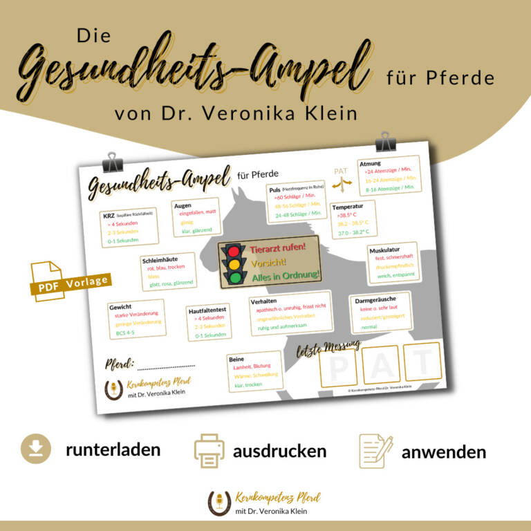 Gesundheitsampel für Pferde