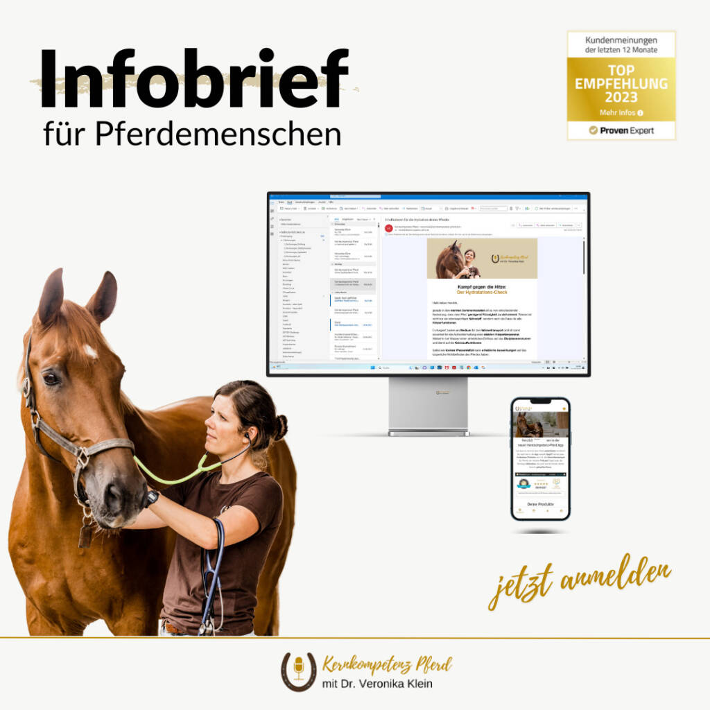 Anmeldung Infobrief