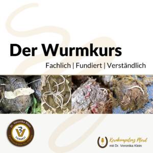 Wurmkurs